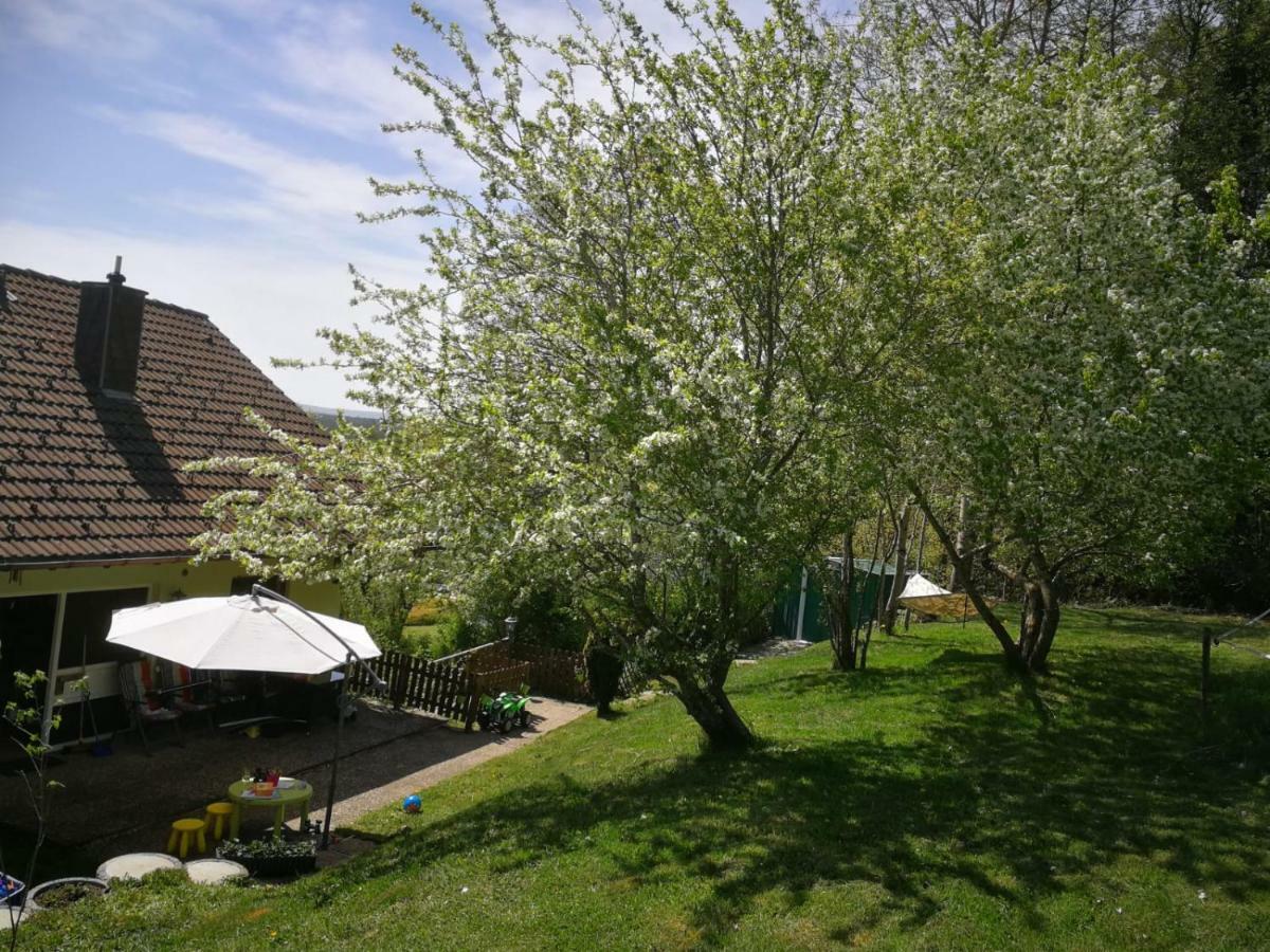 Ferienwohnung Am Kirnbergsee Unterbrand Bagian luar foto